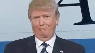Do you want to build a wall 1 hour