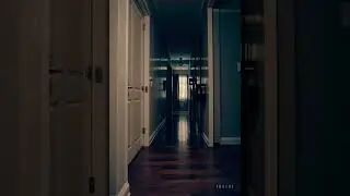 V&iacute;deo Loop Ambiental