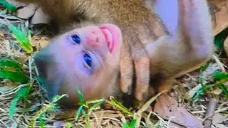 mom monkey so cute With baby monkey #babymonkey 