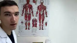 Medical Therapeutic Massage Asmr For Pain Relief And Body Recovery 🩺🤍💤