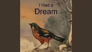 Robin Red Robin