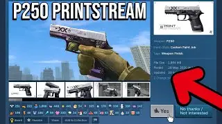 WE REVIEWED FUTURE CS SKINS!