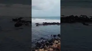 Harley Davidson Festival 2025, Bali - Indonesia