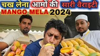 Tasting All Mangoes 🤑 at Mango Mela 2024 2025 Pinjore Garden | International Mango Festival Pinjore
