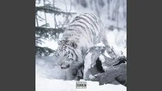 Snowy Jungle