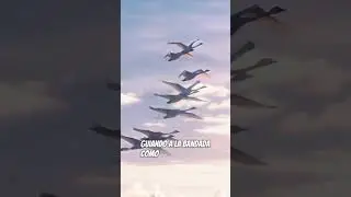 El Cisne Cantor: La Elegancia que Surca los Cielos del Norte 🦢❄️