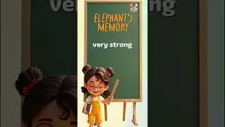 Do You Know the Meaning of &ldquo;elephant's memory&rdquo;? 🤔 #shorts #englishtips #ytshorts #trending