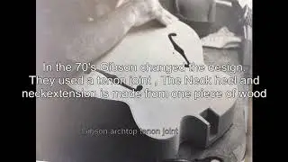 D'Aquisto body neck connection