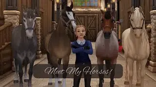 Meet My Horses! (Star Stable Realistic Roleplay 🐴)