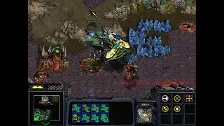 Desperate Alliance, but the Protoss arrives