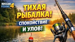 Mister Umud в эфире. Прямая трансляция видеоигры продолжается