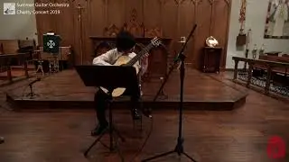 Kleine Romanze (performed by Samuel Su, Summer Guitar Orchestra)