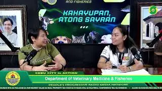 Cebu City in Action &bull; DVMF Hour S2E3