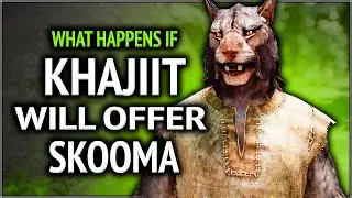 Skyrim ٠ What Happens if the Khajiit-Drug Dealer Offers Skooma at a Random Encounters