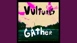 Vultures Gather