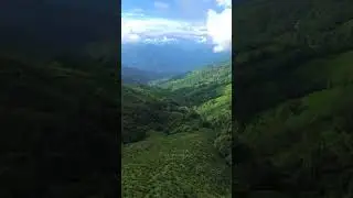 Darjeeling Drone Shot #darjeeling #northbengal #djimini3 #drone #dji #teagarden #mountains #hills