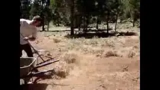 Raking Pine Needles w/RPM Hand Rake - Instructional Video