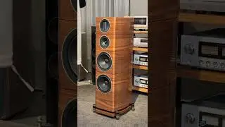 Wharfedale Elysian 4 finalmente disponibili in negozio! #audiocostruzioni #hifi #wharfedale