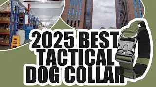 Heavy-Duty Tactical Dog Collars with OEM Design &ndash; Handle, Buckle & Training Options