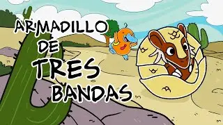 Hola Flinko - Armadillo / Capítulo 10 completo Temporada 1