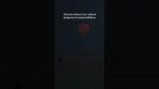 Full Moon at salt desert gujarat | Rann Utsav | Kutch festival | rann of kutch Gujarat Tourism