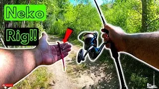 TORONTO SHORE FISHING for LARGEMOUTH BASS with the NEKO RIG and WACKY RIG!!!