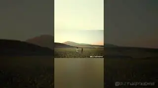chill relaxed LOFI #short #shorts #shortvideo #youtubeshorts #trending #viral #reels #usa #india #uk