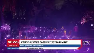 Celestial stars dazzle at 'Astra Lumina' in New York