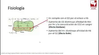 Cánula Nasal de Alto Flujo en Pediatría Urgencias Dr Steven Koremblum