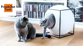 5 Incredible Cat Inventions You Never Knew About
