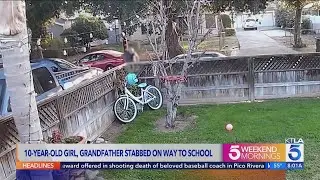 Suspect ID&rsquo;d in stabbing of 10-year-old girl, grandfather