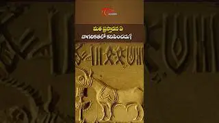 Absence of Religion in Ancient Civilizations | Important History Question | Tone Academy #history