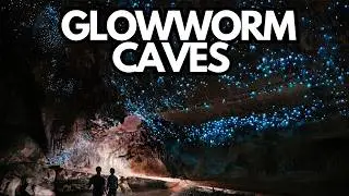 Discovering the Enchanting Waitomo Glowworm Caves: New Zealand's Hidden Gem!