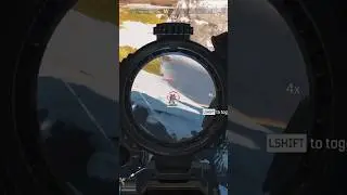 Apex Legends Sentinel Scope 2x-4x