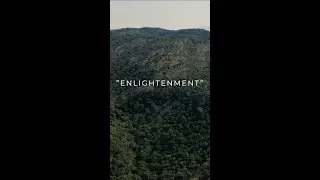 ENLIGHTENMENT | Daily Wisdom | Relaxing Music #Shorts #relaxingmusic