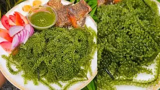 Sea grape. Lato. Arusep