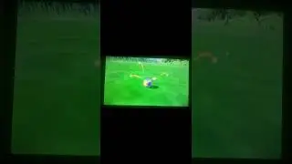 shiny victrebell reaction