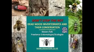 Don't Stop The Rot - Dead wood invertebrates and their conservation