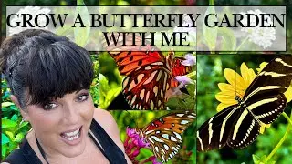 This is How I Use Host Plants to Attract Butterflies to My Florida Garden 