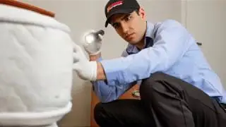 All About Western Pest Services