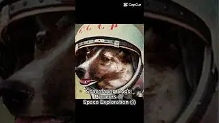 Spacefaring Dogs: Pioneers of Space Exploration (1)