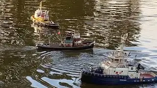 RC Sun XXI, and friends on the water at dusk