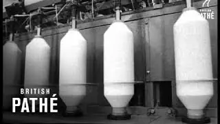 Automation In Cotton (1965)