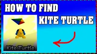How To Find KITE TURTLE in FIND THE TURTLES ROBLOX 🐢 [walkthrough]