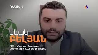 ՀՀ ներկայիս վիճակը պարզապես ներքաղաքական խնդիր չէ, այլ պետականության տապալման գործընթաց․ Բելյան