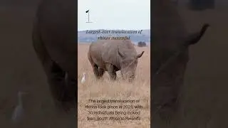World Wildlife Day 2022