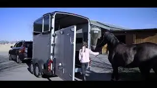 Ifor Williams HBX-serie hestehengere fra NTS | Norsk Tilhengersenter