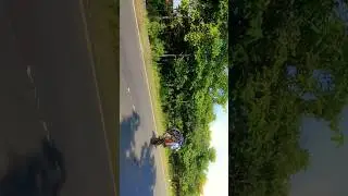 Wheelie game 🤙 #shorts #bikes #youtube #sam390 #grandsquad #bikes #wheelie