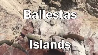 Ballestas Islands, Peru, El Candelabro, Paracas HD Video