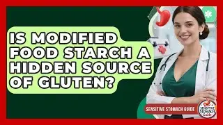 Is Modified Food Starch A Hidden Source Of Gluten? - Sensitive Stomach Guide